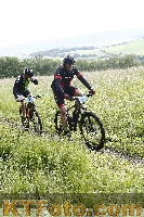 Photo 4244640