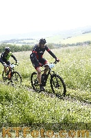 Photo 4244642