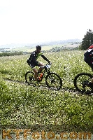Photo 4244646
