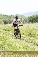 Photo 4244710