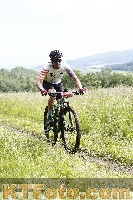 Photo 4244713
