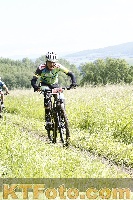 Photo 4244865