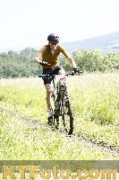 Photo 4244895