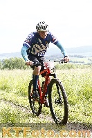 Photo 4244954