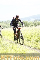 Photo 4245015