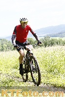 Photo 4245138