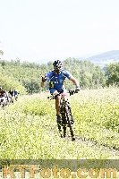 Photo 4245144