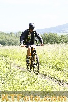 Photo 4245173
