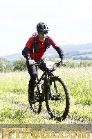 Photo 4245254