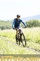 Photo 4245258
