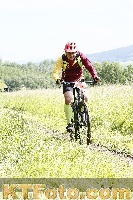 Photo 4245333
