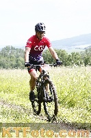Photo 4245411