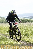Photo 4245420