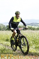 Foto 4245428