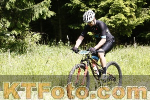Photo 4245534