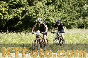 Photo 4245545