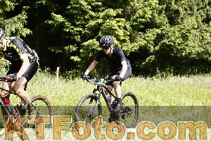 Photo 4245548