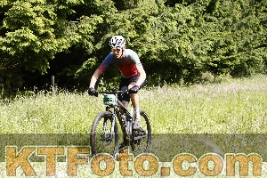 Photo 4245556