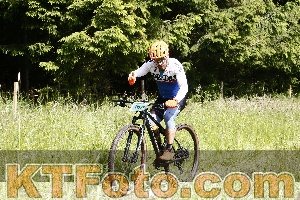 Photo 4245578