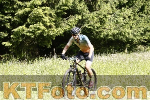 Photo 4245580