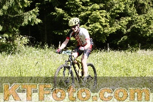 Photo 4245585