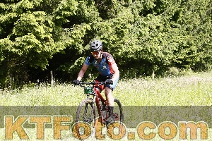 Photo 4245589