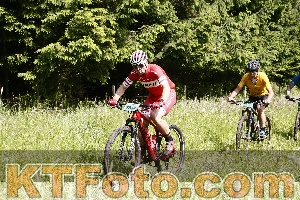 Photo 4245596