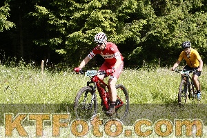 Photo 4245597