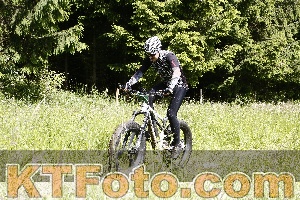 Photo 4245607