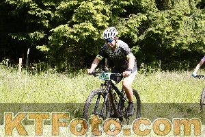 Photo 4245631