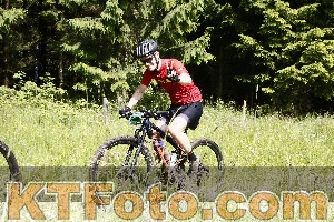 Photo 4245640