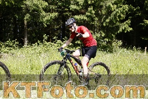 Photo 4245641