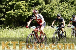 Photo 4245642