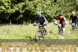 Photo 4245657