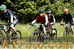 Photo 4245660