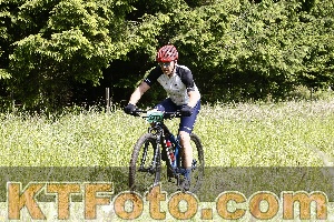 Photo 4245709