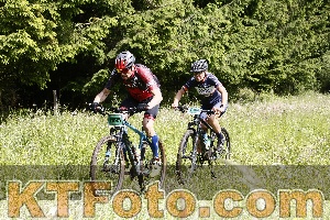 Photo 4245719