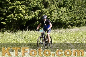 Photo 4245726