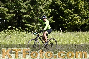 Photo 4245731