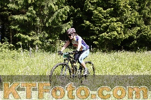 Photo 4245757