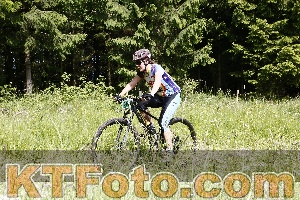 Photo 4245758
