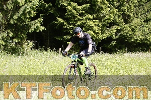 Photo 4245762