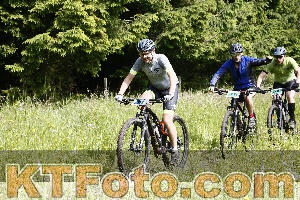 Photo 4245779
