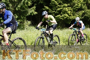 Photo 4245786