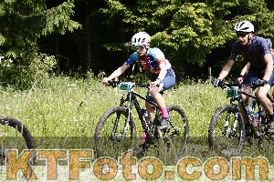Photo 4245787