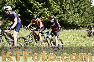Photo 4245790