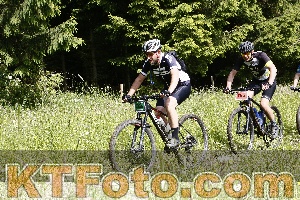 Photo 4245801