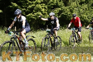 Photo 4245820