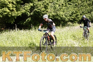 Foto 4245849