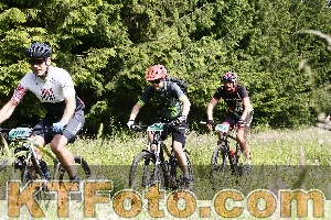 Photo 4246084